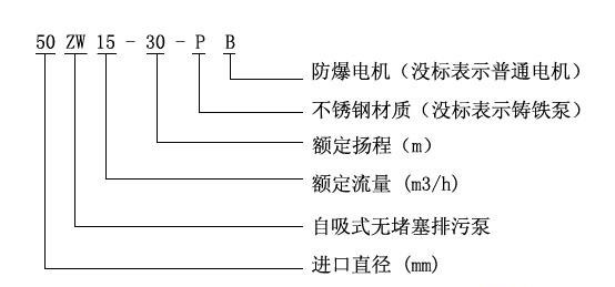 ZWPB型不锈钢防爆自吸式无堵塞快猫成人APP型号意义